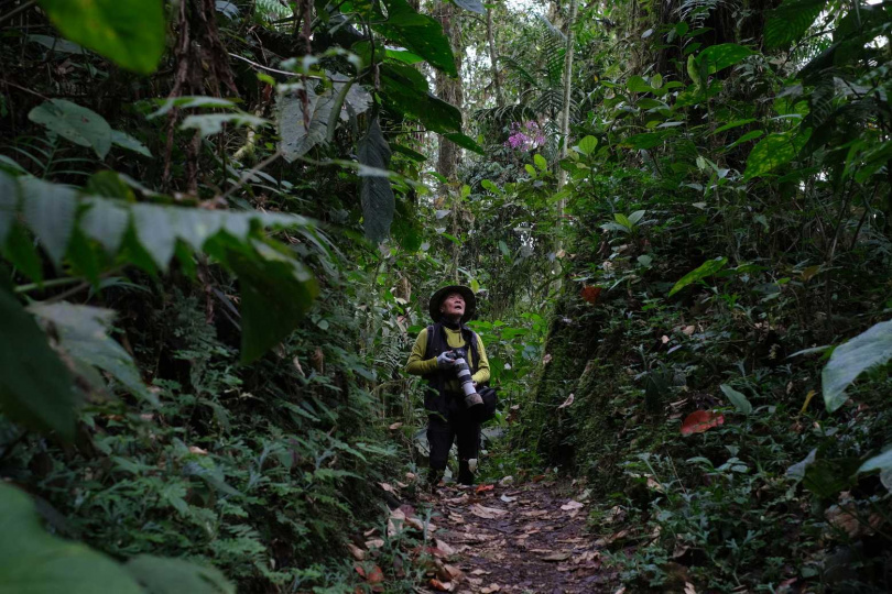紀錄片《我在荒野做了一場夢》受到眾星喜愛。（圖／牽猴子提供）