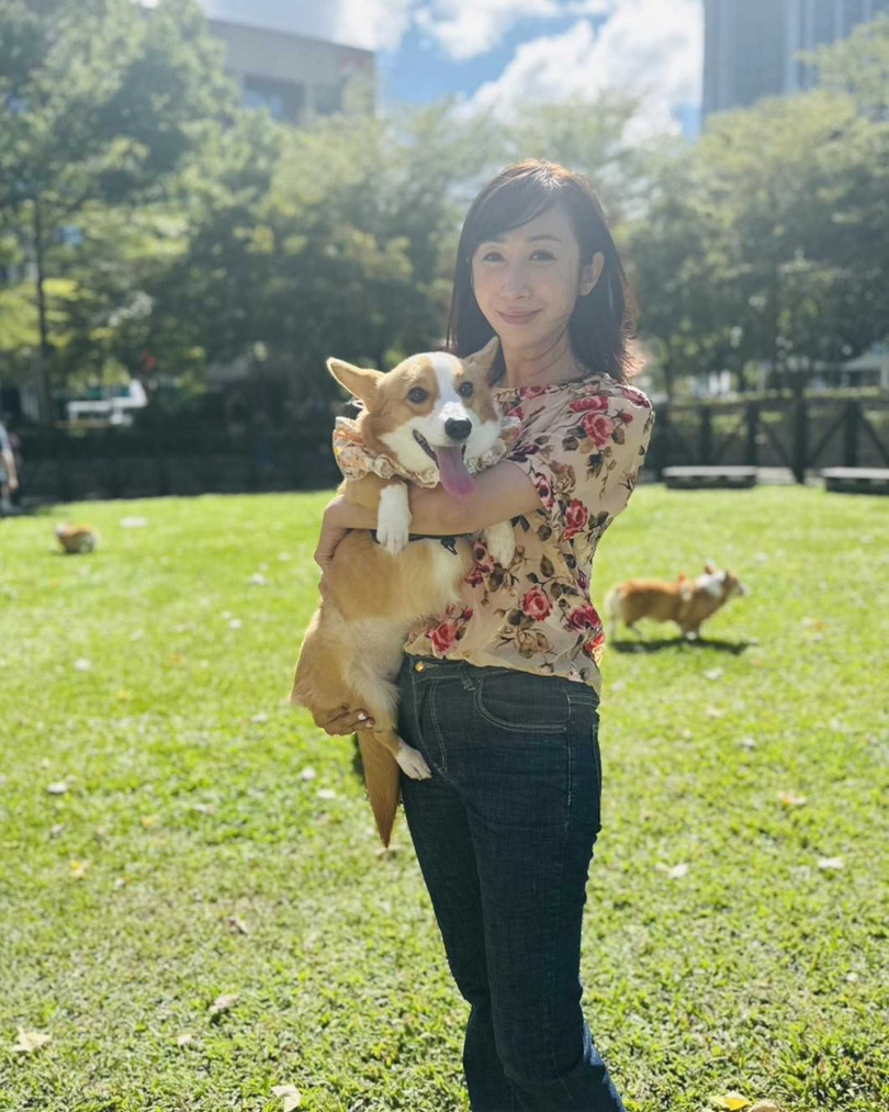 台北市議員許淑華（圖）非常關心毛孩，希望牠們被妥善照顧。（圖／翻攝自許淑華臉書）