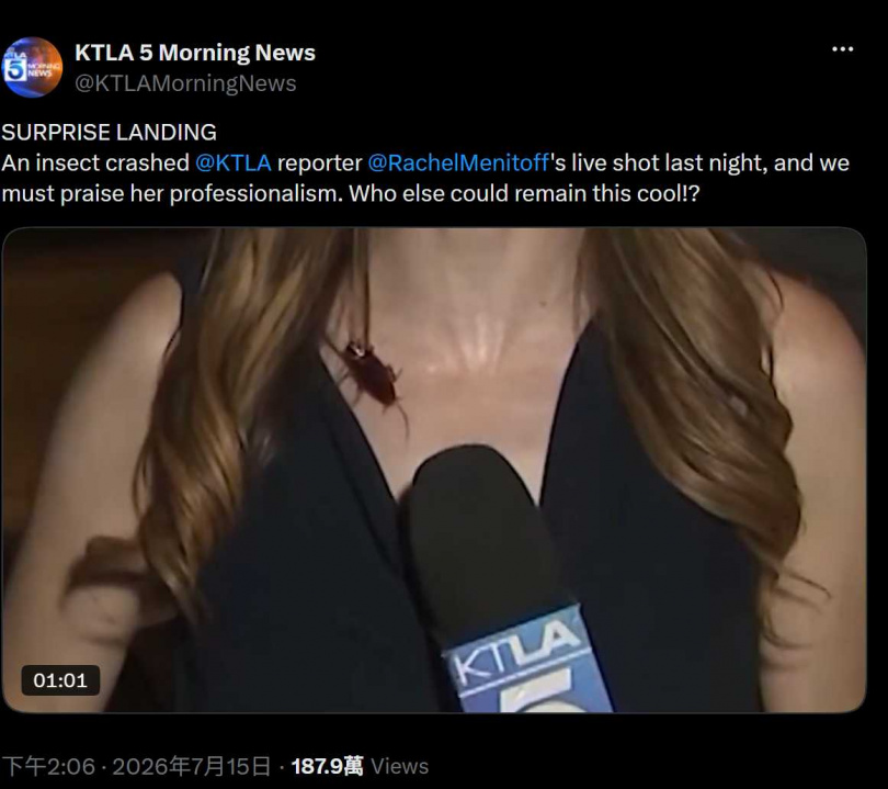梅尼托夫事後表示，她擔心一旦理會身上的蟑螂，就無法繼續完成報導。（圖／翻攝自X，@KTLAMorningNews）