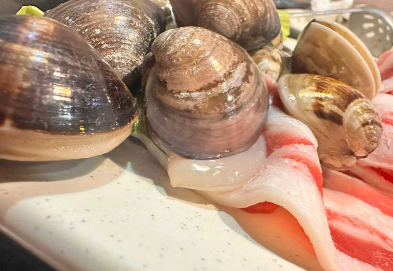 近日有民眾到連鎖平價火鍋店錢都用餐時，意外拍下餐桌上「蛤蜊偷吃培根牛」的逗趣畫面。（圖／翻攝自Threads，＠catcat_ustar授權提供）
