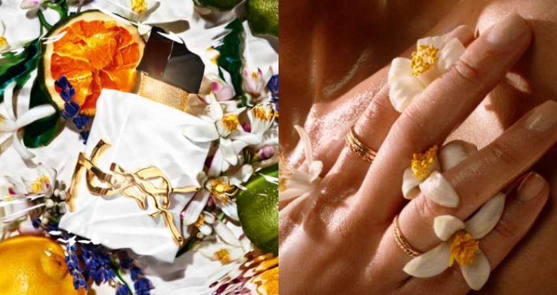 YSL首款無酒精水基底香氛!實現真正的香氣自由(圖/品牌提供)