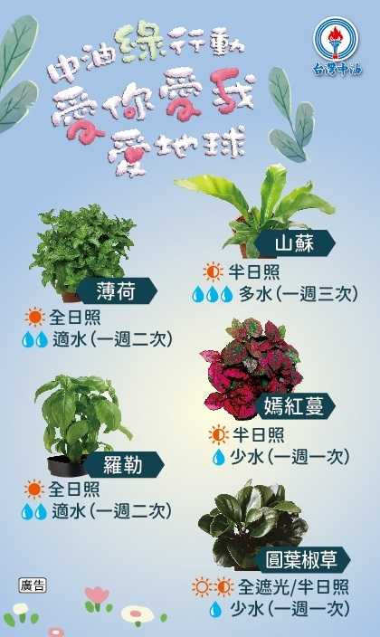 「台灣中油綠行動 愛你愛我（2025）愛地球」贈樹苗活動！邀您一起打造綠色永續環境。(圖片提供／台灣中油)