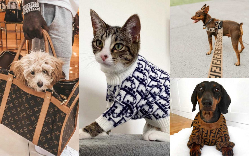 （圖／翻攝自小紅書）