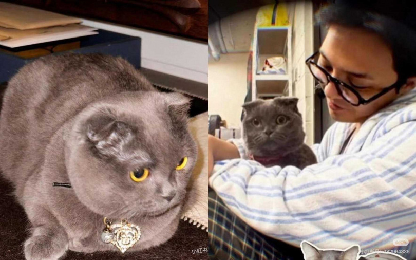 （圖／翻攝自小紅書）