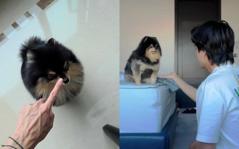 （圖／取自V IG）