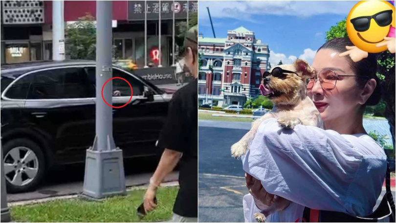 陳美鳳愛犬妞妞坐在保時捷副駕駛座上。（圖／讀者提供／翻攝陳美鳳臉書）