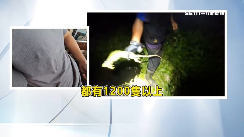 抓綠鬣蜥獵人出面說明。（圖／三立新聞網）