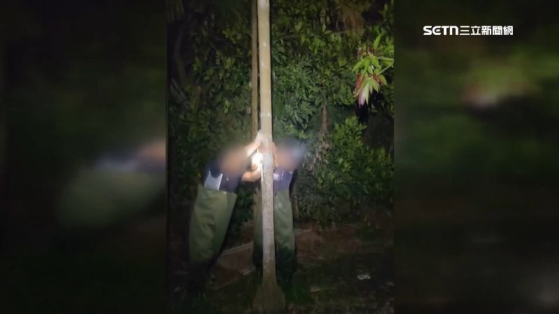 獵人精準擊落綠鬣蜥。（圖／三立新聞網）