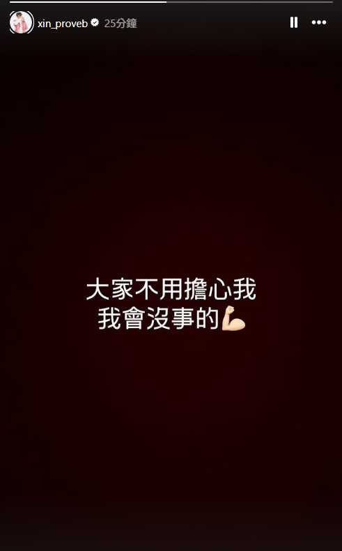 莊昕諺在IG限時動態向球迷報平安。(圖/翻攝自IG/xin_proveb)
