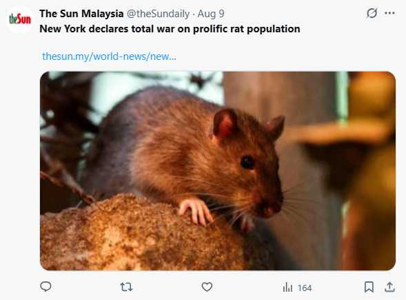 紐約市哈林區街頭設置密封垃圾桶,市府希望藉此切斷老鼠食物來源,降低鼠患。(圖翻攝自Pixabay)