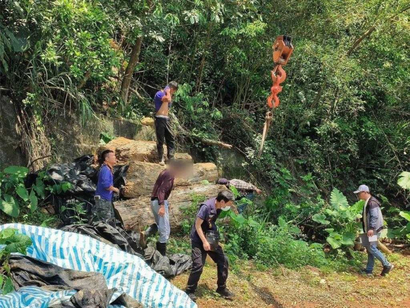 警林合力破獲盜取珍貴木材,市值150萬元。(警方提供/呂筱蟬桃園傳真)