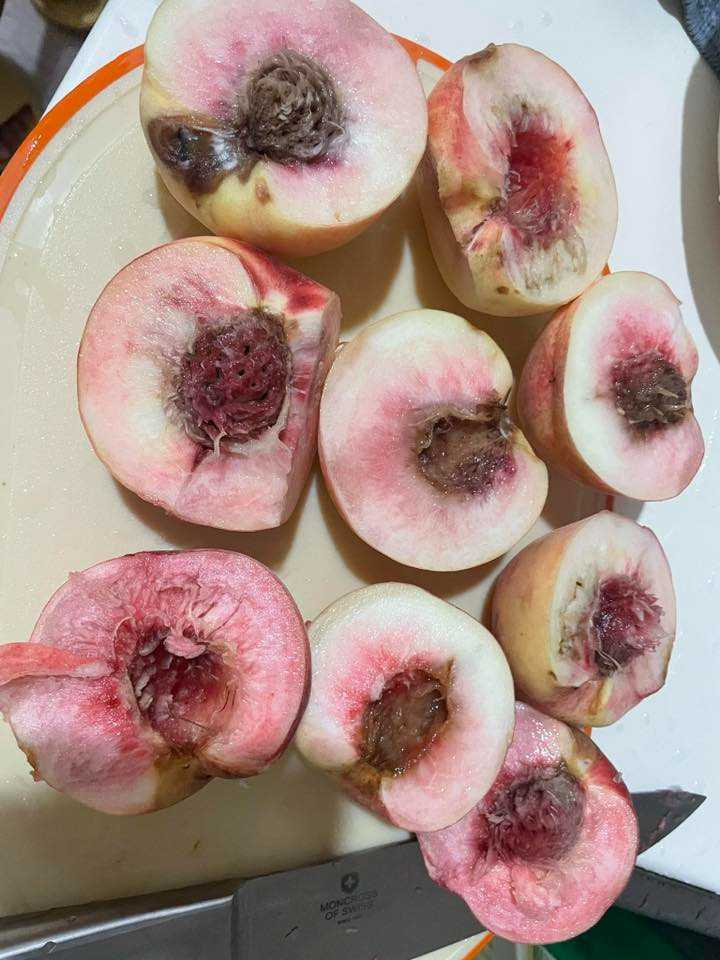 水蜜桃開箱後一堆爛果。（圖／翻攝自臉書社團《爆怨2公社》）