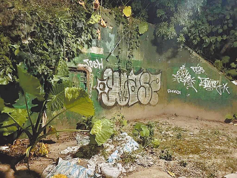 11月1日登場的白晝之夜活動,舊台北市兒童樂園是重要的展演場地。不過民進黨議員顏若芳發現公園內環境不佳,擔心成為治安破口。(圖/顏若芳辦公室提供/中國時報丁上程台北傳真)