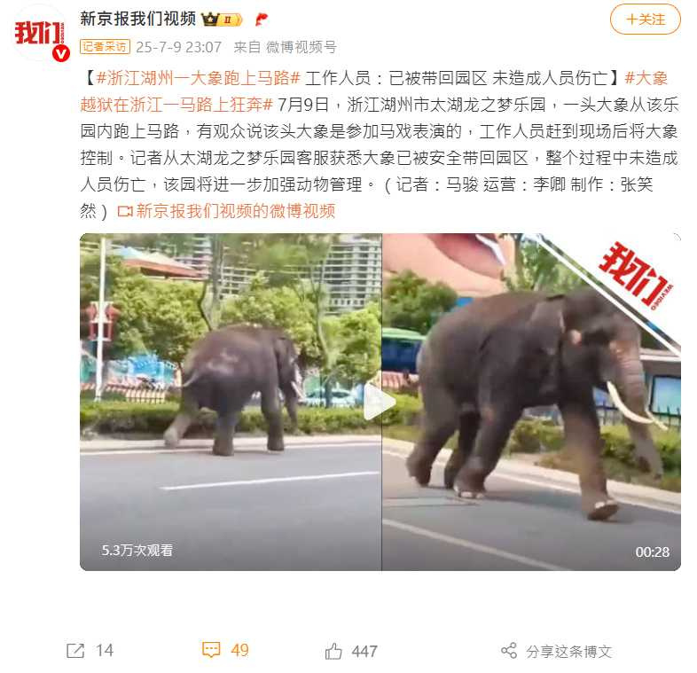 飼養員騎上大象並餵食西瓜,順利將牠哄回園區。(圖/翻攝自微博)