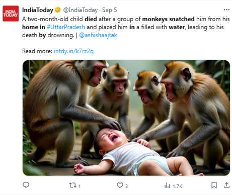 猴群經常闖入民宅尋食，居民多次投訴卻遲遲未見有效管理。（圖／翻攝自X，  @IndiaTodayi ）