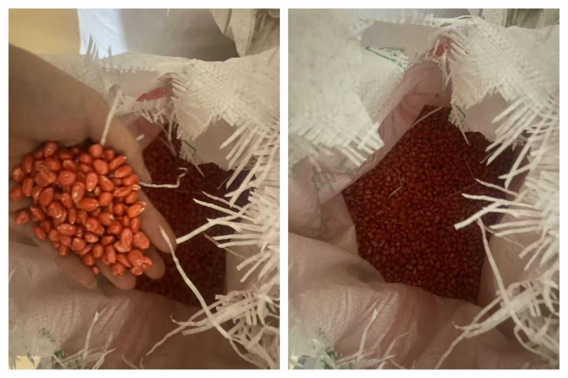 魏先生指出,種子包裝雜亂無標示,甚至使用飼料袋裝填,引發種子來源疑慮。(圖/翻攝自魏先生提供)
