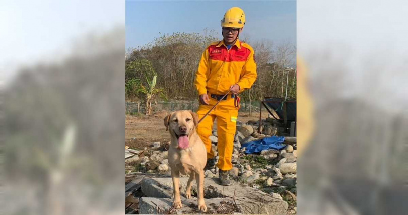 每年4月最後1個星期日為「國際搜救犬日」，新竹市消防局27日向辛勤投入訓練與任務執行的搜救犬致敬。（圖／新竹市消防局提供／中國時報記者陳育賢新竹傳真）