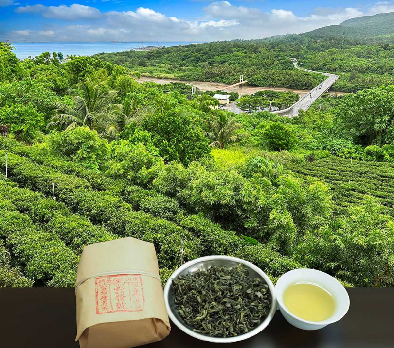 台灣最南端屏東滿州鄉唯一採有性繁殖的港口茶。(圖/吳德亮攝影)