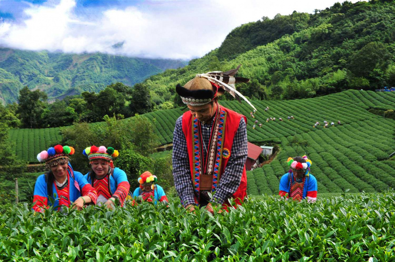 阿里山最具原住民特色的鄒族達邦茶區。(圖/吳德亮攝影)