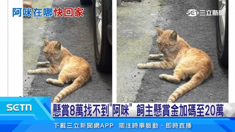 不少網友也熱心提供線索。
