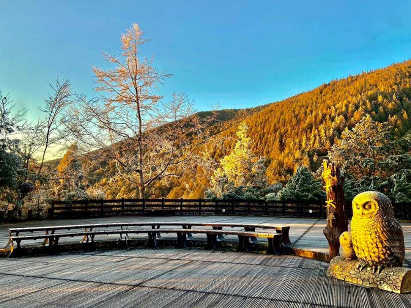 (圖/翻攝FB/太平山國家森林遊樂區)