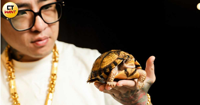 墨西哥箱龜也是蹦闆收編寵物之一。（圖／侯世駿攝）