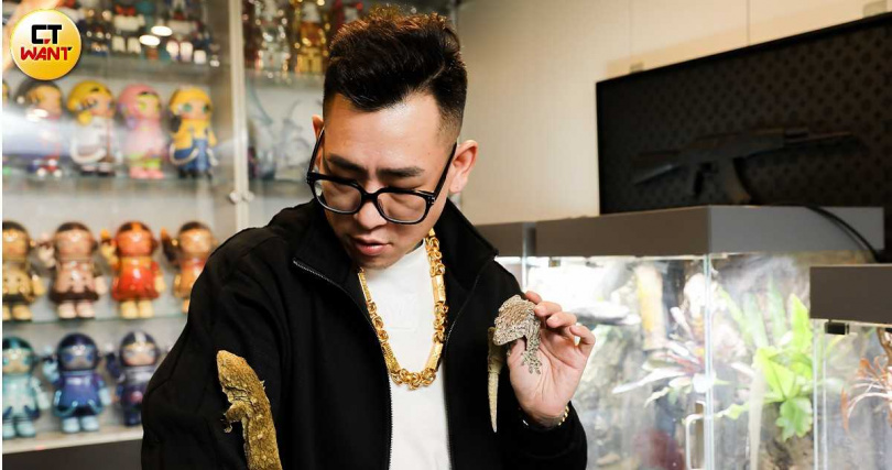 蹦闆收編的2隻巨型守宮會變色，因為稀有所以要價不菲，而守宮住的生態缸也相當昂貴。（圖／侯世駿攝）
