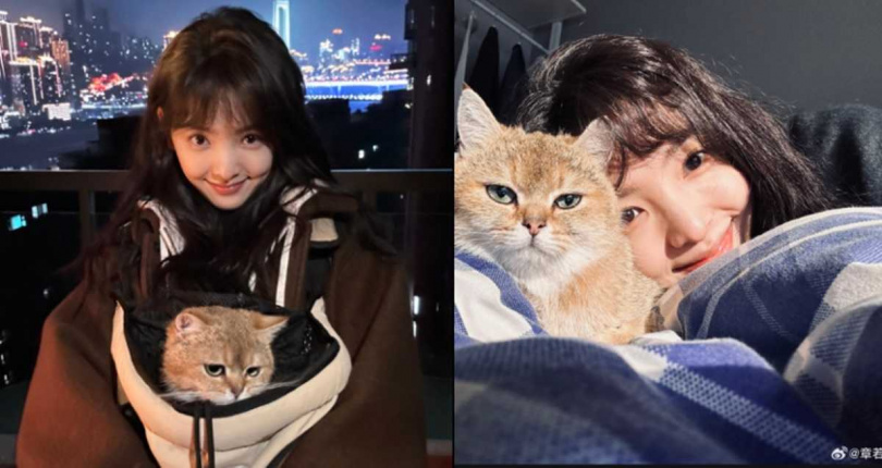 （圖／取自 章若楠 微博）