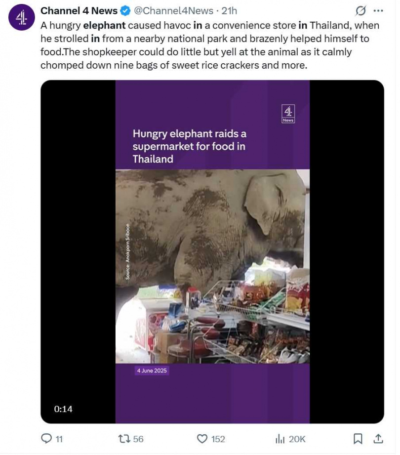野象小別突襲超商覓食，貨架被翻亂，員工嚇傻逃出店外。（圖／翻攝自x）