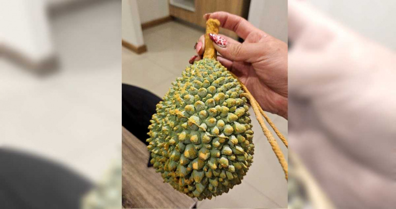原PO帶榴槤包包唄泰國海關攔。(圖/翻攝一個他媽的社團臉書)