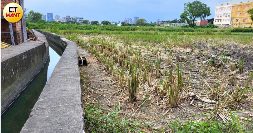  因為汞米角力而獲關注的竹市千甲地區特定農用地，究竟能否在區域發展與環保生態間穩健邁向下一步，各界關注。（圖／周志龍攝）