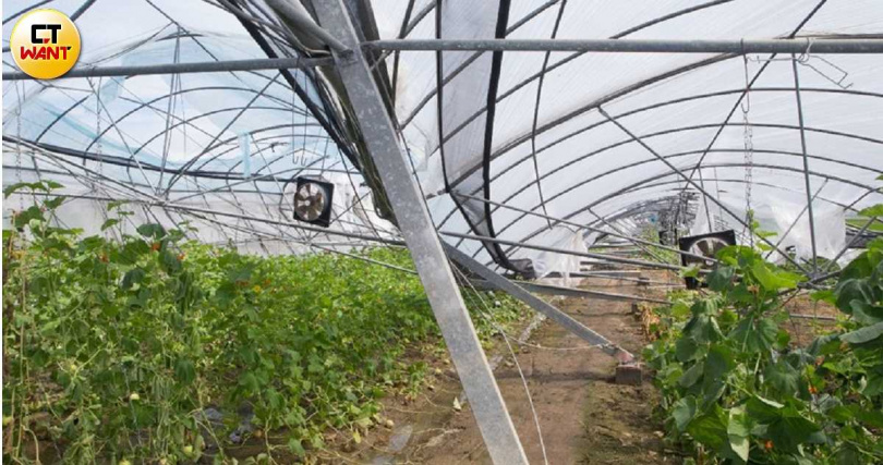 嘉義縣議員黃榮利在7月颱風災後幫助不少地方鄉親申請補助，逐步回復家園。（示意圖／CTWant攝影組）