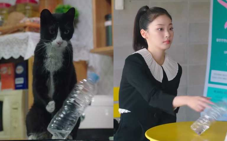 （圖／翻攝自網路）