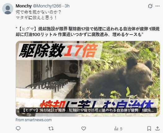 部分地區處理不及導致熊屍腐敗,被迫以掩埋方式應急處理。(圖/翻攝自,@Monchy1266)