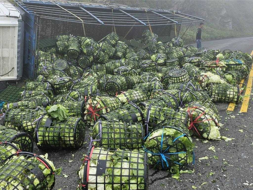 貨車煞車失靈撞山壁翻車，滿車高麗菜散落一地。（圖／民眾提供）