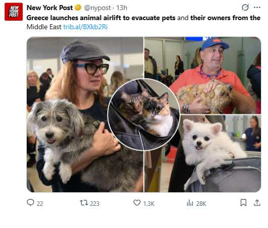 希臘政府啟動動物空運計畫，安排專機撤離。（圖／翻攝自X，@nypost）