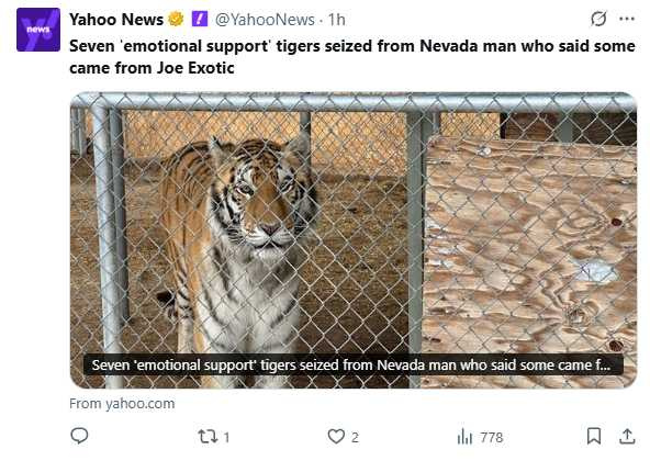 美國內華達州一名7旬翁在家中非法飼養7隻老虎被捕。（圖／翻攝自X）