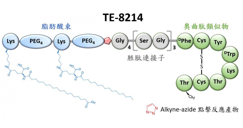 （圖／免疫功坊提供。）