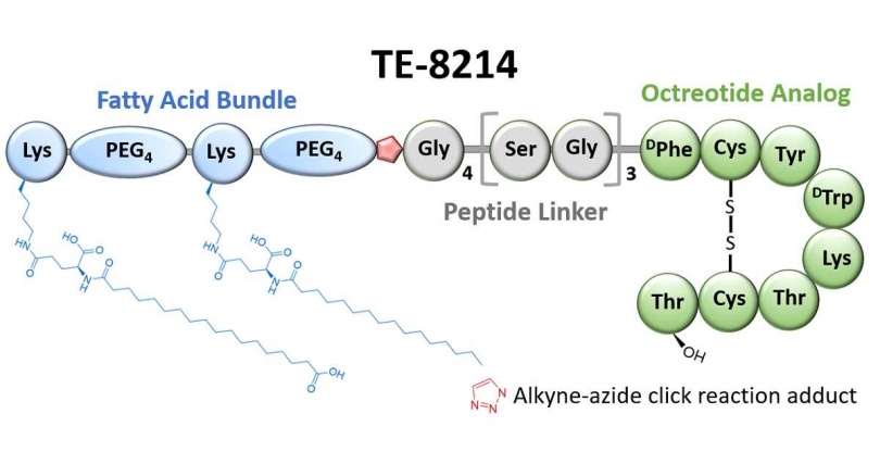 （This photo provided by Immunwork, Inc.）