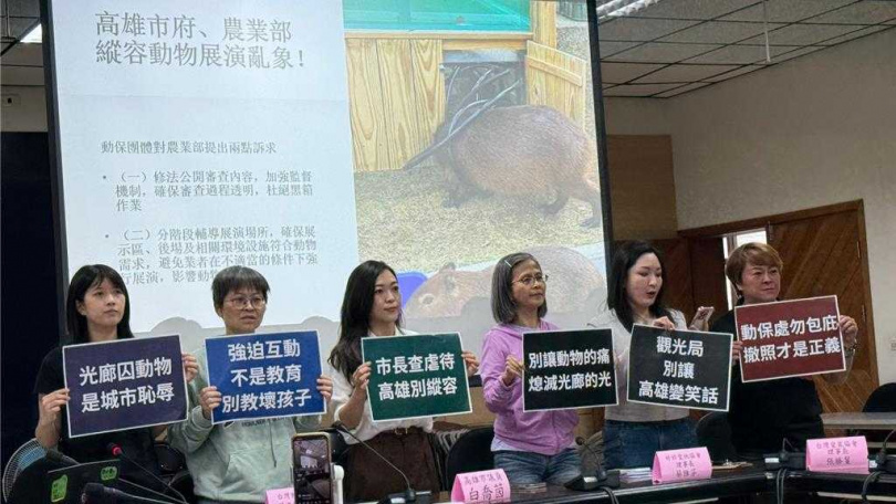 5個動保團體（PETA 亞洲善待動物組織、台灣動物平權促進會、好好愛牠協會、台灣愛鼠協會、台灣鳥類救援協會 ）今天到高市議會舉辦聯合記者會，呼籲市府重視此案。（圖／中國時報柯宗緯攝）