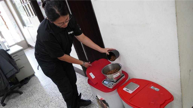 UHOO每天２餐，每餐半小盆飼料，講究營養均衡。（圖／中國時報寶智華）
