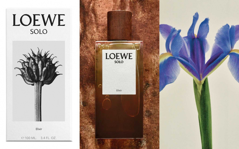 融合芳香、花香與琥珀調的豐富層次香味。（圖／品牌提供）