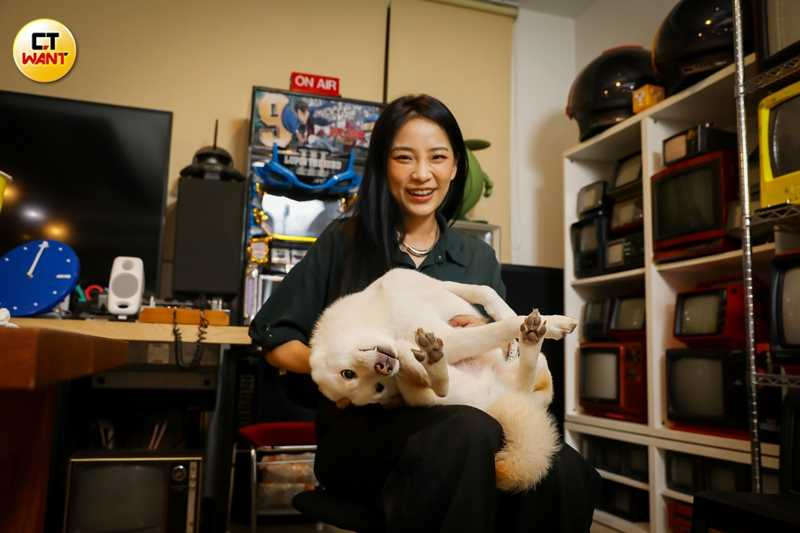 5歲的白柴「嘎啦嘎啦」筋骨異常柔軟。（圖／侯世駿攝）