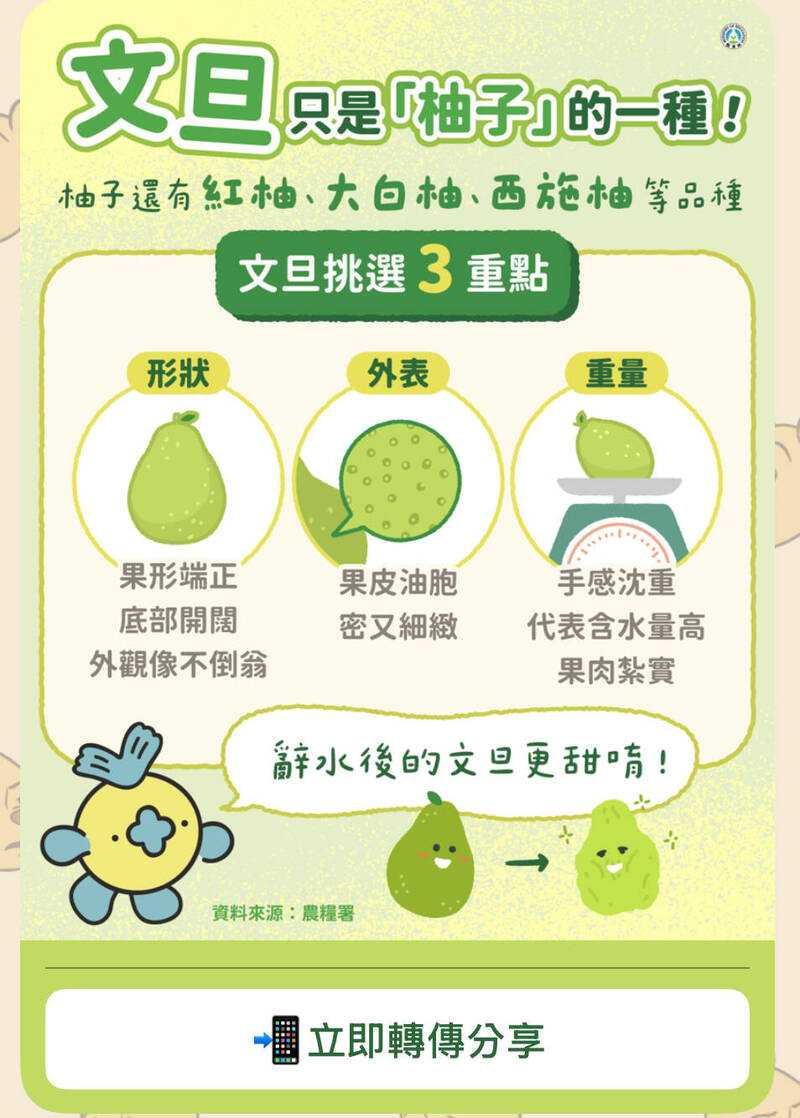 文旦挑選3大重點。（圖／翻攝自教育部官方LINE）