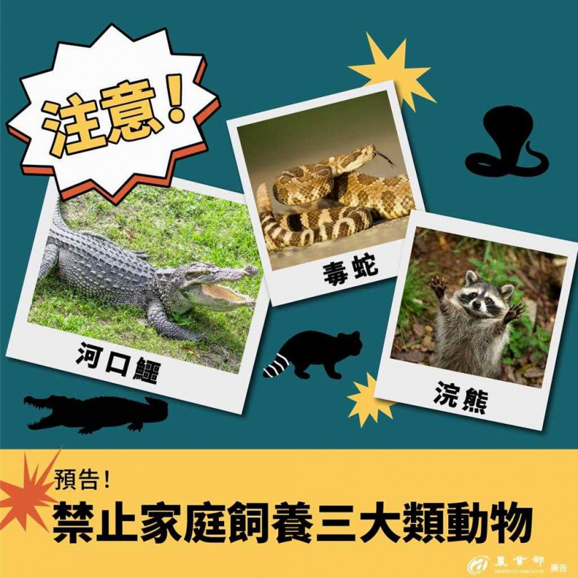 為維護公共安全及保障國人生命安全，農業部今（8）日依據《動物保護法》第8條規定，預告「指定禁止飼養輸入或輸出之動物」修正草案，將禁止一般家庭民眾飼養641種具劇毒或高攻擊性動物。（圖／農業部）