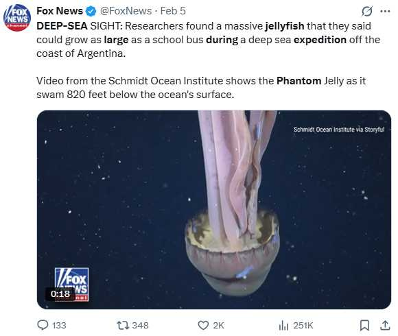 研究團隊於阿根廷外海拍攝到極為罕見的巨型幽靈水母，其觸臂最長可達10公尺。（圖／翻攝自X，@FoxNews）