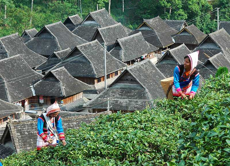 基諾族傳說即為三國時諸葛亮南征留下的蜀兵後代。（圖／吳德亮攝）