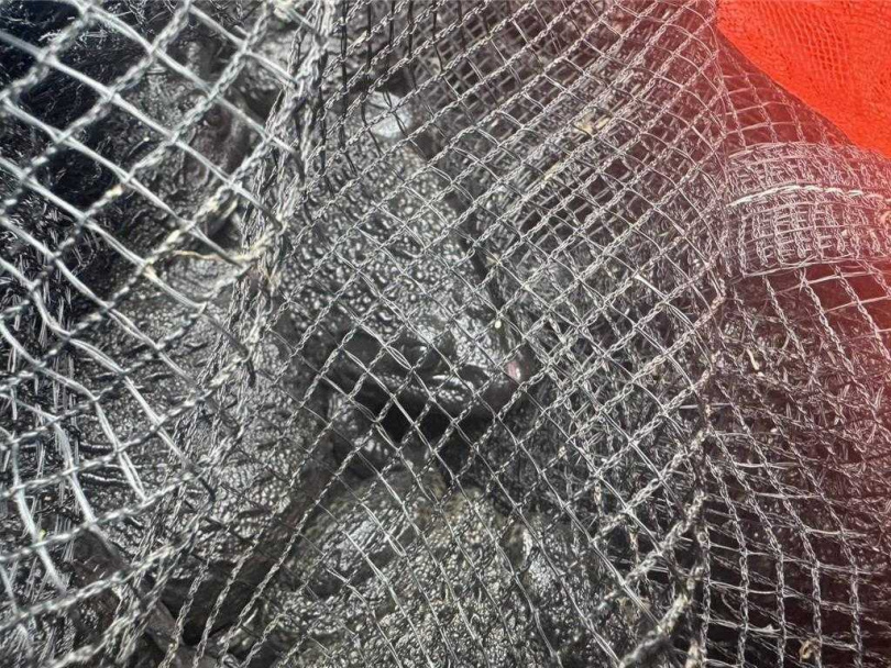 外來種牛蛙在貨車上尚未被放生。(圖/宜蘭縣府提供)