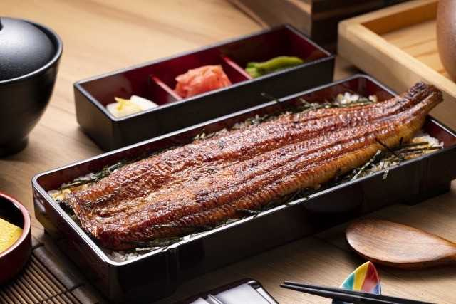 一本鰻｜6 月 6 日至 6 月 12 日慶開幕連續七日，一本鰻便當半價優惠$ 395 元（原價$ 790 元）限量供應每日30份。（圖／大江戶町提供）