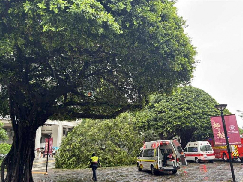 逢甲大學校園榕樹突倒塌砸中4名學生，23歲碩一男生吳姓同學不幸喪命，女友目睹救援過程悲痛不已。（圖／報系資料照）